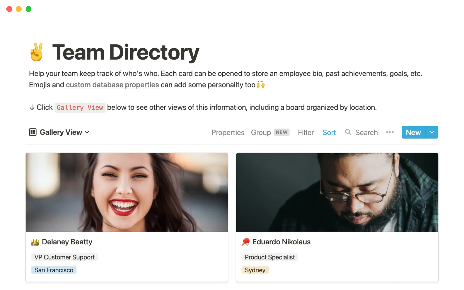 Team Directory template